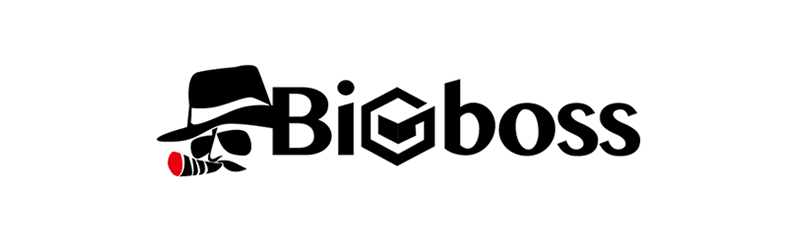bigboss-logo